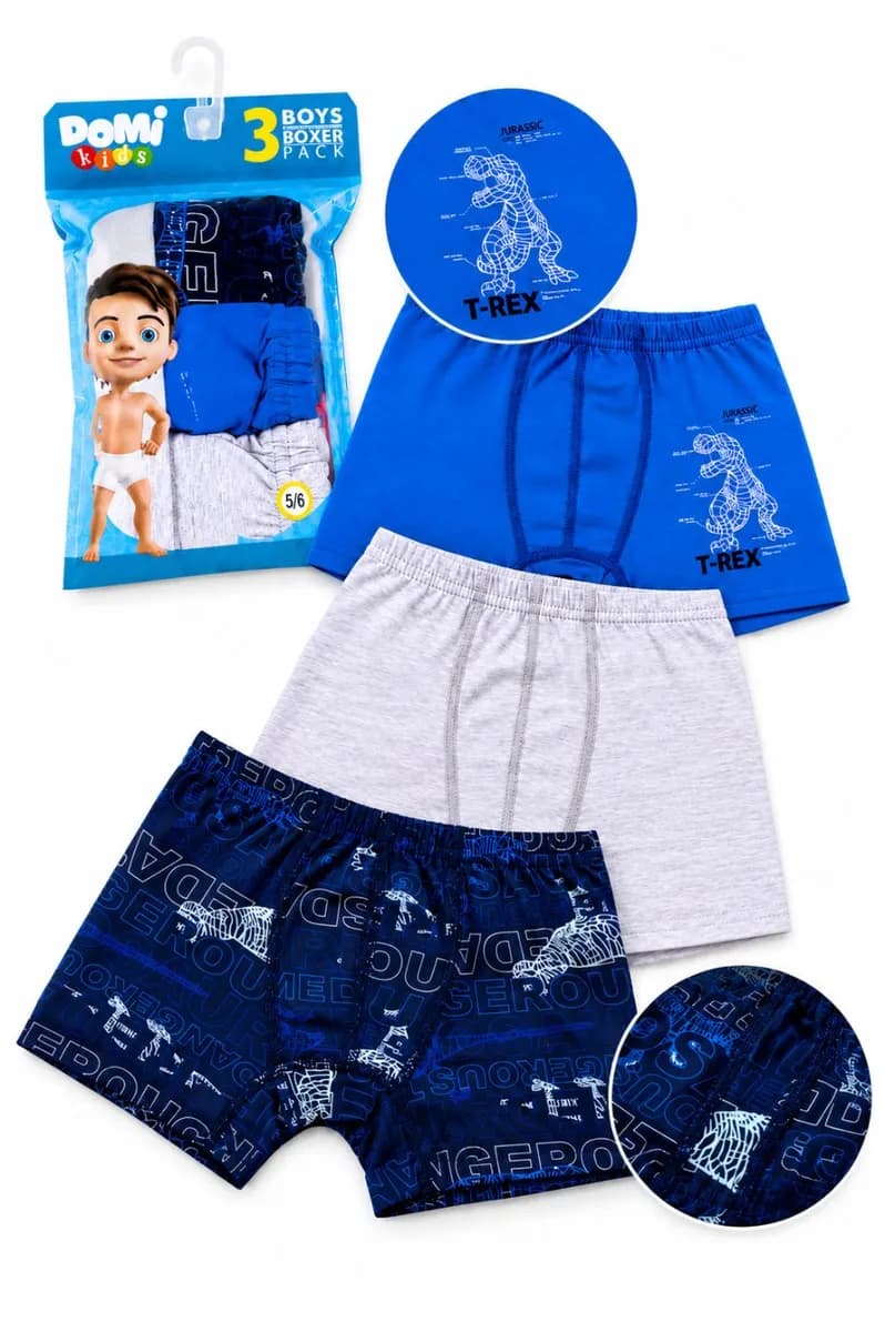 Dinosaur Pack 3 Boxers